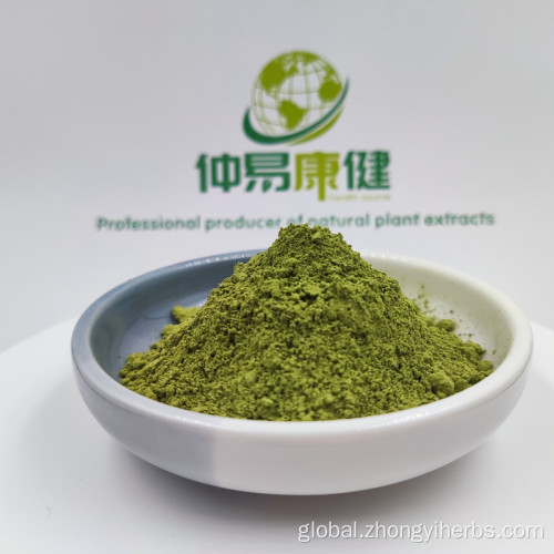 China Organic Matcha Tea Powder Green Tea Factory